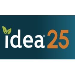 IDEA - 25